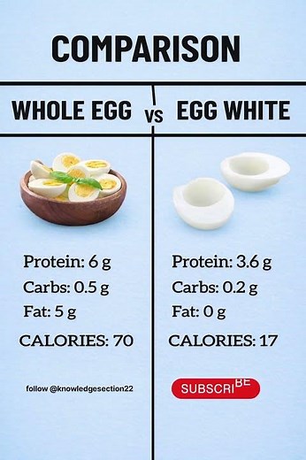 Whole Egg vs Egg White Nutrition Comparison (Calories, Protein & Fat) #health