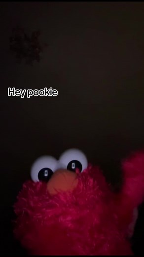 Elmo's Fun Driving Adventures with Pookie
