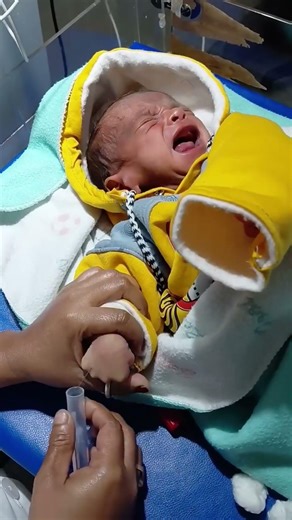 blood collection #shortvideo #shorts #trending #nicu #trend #shortsfeed #baby #cute #chubby #girl