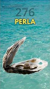 276.Perla #Perlas #BiologiaMarina #Moluscos #CuriosidadesAnimales #Ciencia #datoscurisos #sabiasque