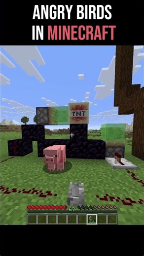 Angry birds in Minecraft #minecraft #gaming #gamingshorts
