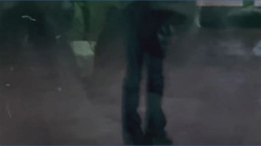 Inside look at new gorilla habitat Congo Falls at San Antonio Zoo