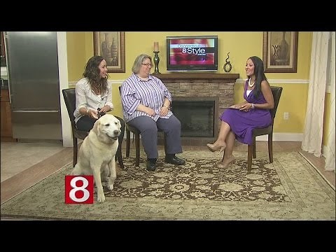 How to Communicate Telepathically With Your Pet