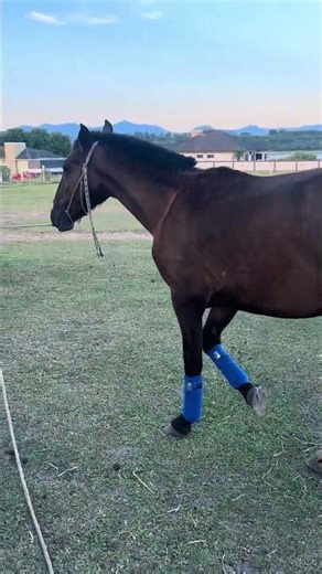 PRIMEIRA VEZ USANDO LIGAS