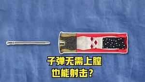 探索世界千奇百怪_探索世界千奇百怪_流言终结者：子弹不用上膛也能射击目标？