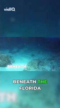 Underwater Bliss: The Florida Blue's Deep Secret
