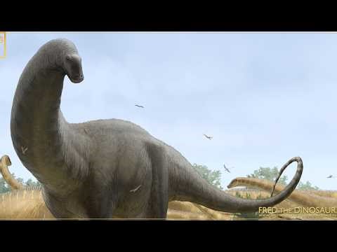 Thunder Lizards: Evolution of Brontosaurus, Apatosaurus and Diplodocus