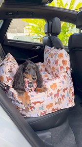 Introducing our new deluxe travel beds. Now available in two sizes and four adorable patterns! ✨ 🐶 Doubles as a carrier and car seat 🐶 Removable and washable cover 🐶 Buckles around the back seat for security Don’t miss out, shop NOW. | Pablo & Co. Boutique