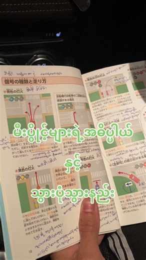 信号の種類と走り方ガイド
