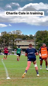 384K views · 2.8K reactions |  Young gun Charlie Cale putting in the effort at training! | ACT Brumbies | Facebook