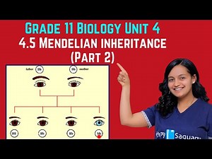 Grade 11 Biology Unit 4: 4.5 Mendelian inheritance (Part 2) | Saquama