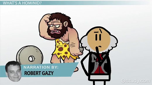 Hominid | Definition, Characteristics & Types