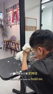 Navigating the Rough Seas: A Shopkeeper's Growth Struggles