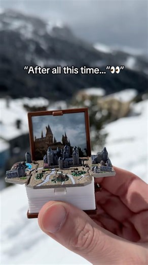 Are you a real Harry Potter fan?? #potterhead #harrypotter #harrypotterfan