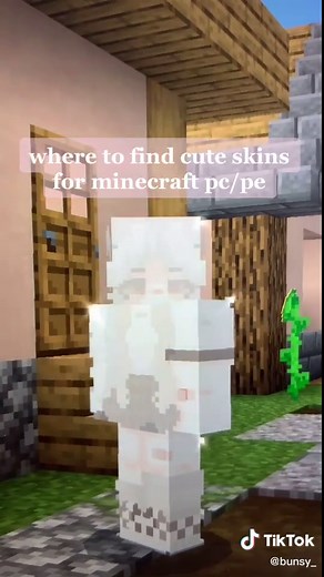 cute skins for minecraft pc/pe #minecraft #minecraftskins #minecraftideas #trending #viral #village #foryoupage #fyp