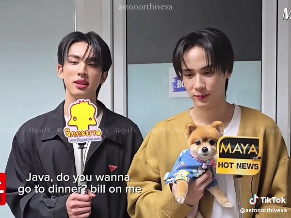 Exploring Java's Surf Culture and Romance