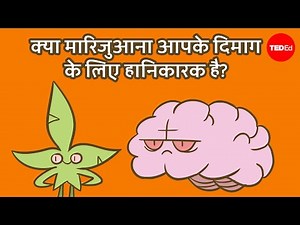 क्या मारिजुआना आपके दिमाग के लिए हानिकारक है? - Anees Bahji