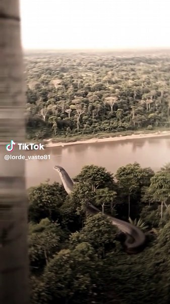 Ular Terbesar dan Menakutkan di Dunia