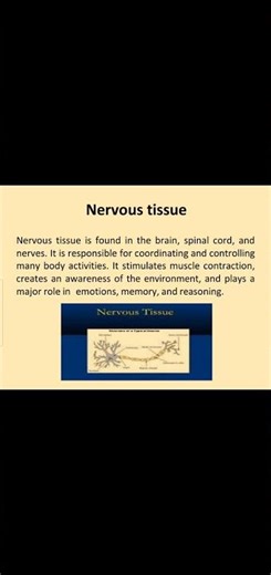 Nervous tissue | #botanywithyoutube