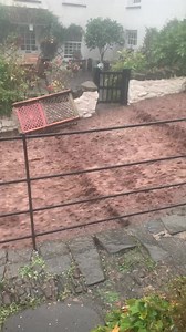 9.4K views · 163 reactions | More rain is expected across Devon today. This video by Steve Parks was taken in Clovelly yesterday afternoon. Heavy downpours may cause localised flooding and travel disruption. Follow Devon Alert for the latest travel updates. | Devon County Council | Facebook