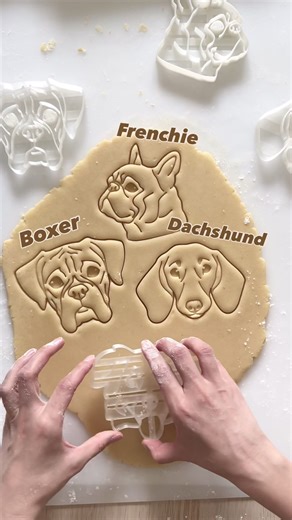 When the days feel heavy they make them light 🫶🥹🐾 Cutters: in bio 🫶 French Bulldog, Boxer, Dachshund, Australian Shepherd