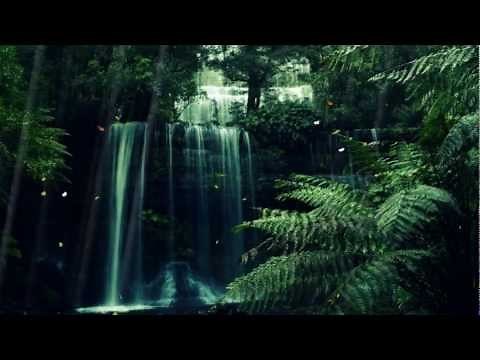 Mystic Forest Animated Wallpaper http://www.desktopanimated.com