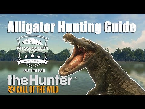 Alligator Hunting Guide With Best Locations !