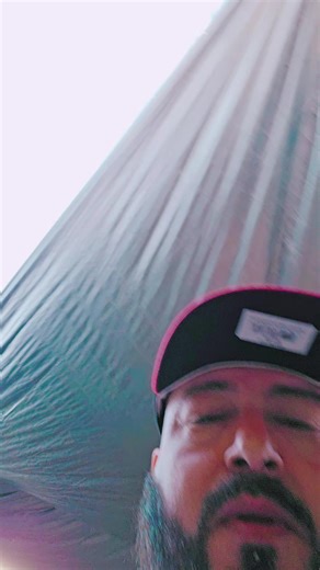 real rooster2 on TikTok