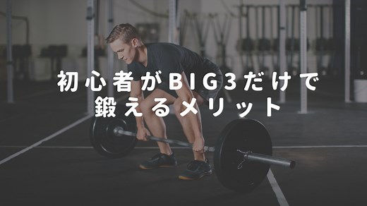 初心者がBIG3だけで鍛えるメリット｜初心者が1年間鍛えた結果も公開 - Tsubasa Dairy