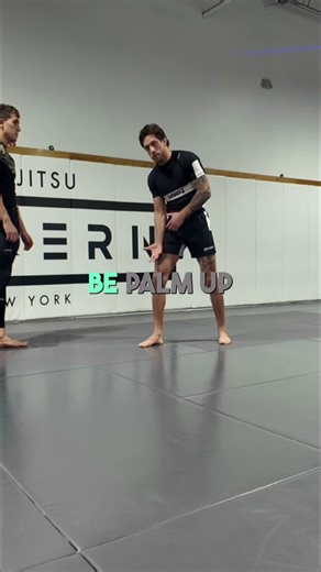 Jiu-Jitsu - Palm up vs. palm down for the underhook