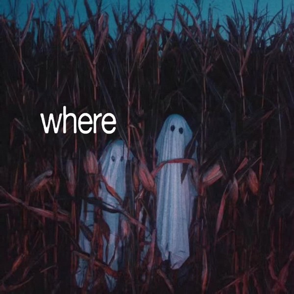 Exploring the Meaning of 'Where Did My Baby Go'