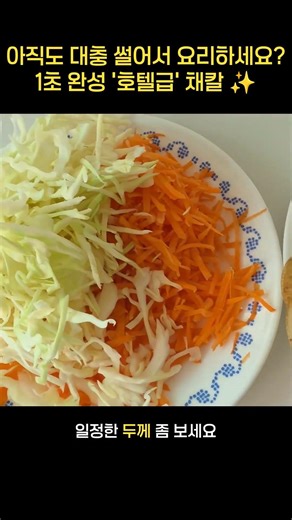 망친 요리 비주얼 '이것'으로 칼질 고수 되세요! / 마그네틱 스테인리스 슬라이서 채칼