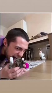 Statement Marine on Reels