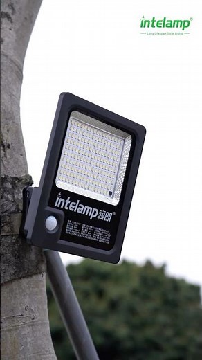 Solar light outdoor motion sensor #intelamp #solarlight #solar #home #solarpower