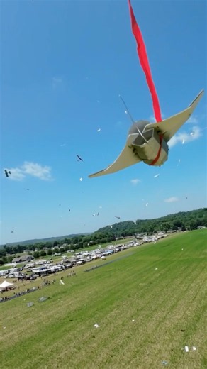 18 days out from Flite Fest 2026