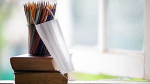 ‘Dehumanising’: Words ‘male’ and ‘female’ removed from US school’s fifth grade lessons