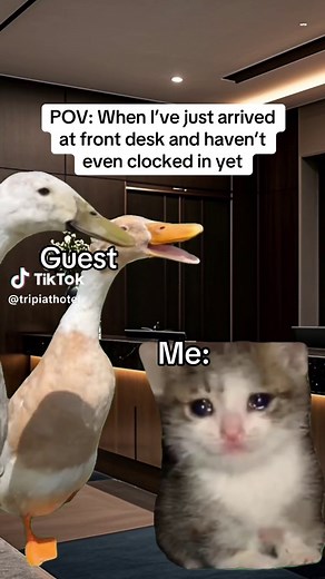 Life at the Front Desk: A Hotelier's Daily Experience