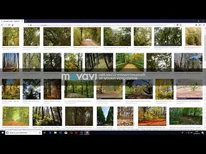 Cours Débutant: Copier/Coller depuis Google Image