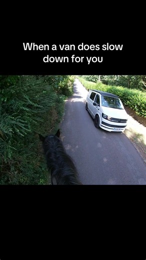 When a Van Does Slow Down for You: GoPro Horse Riding Moment