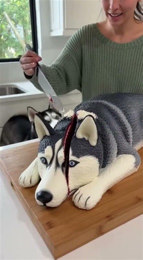Husky Witnesses the Ultimate Betrayal… The Cake Gets Cut 😱🐺🎂