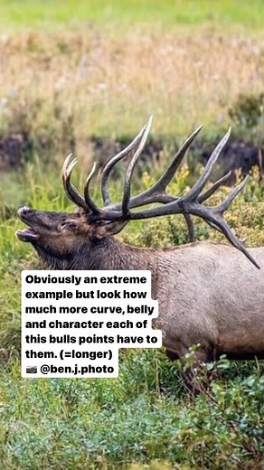 7.5K views · 26 reactions | (ELK) Percentages of Gross Score Tine...