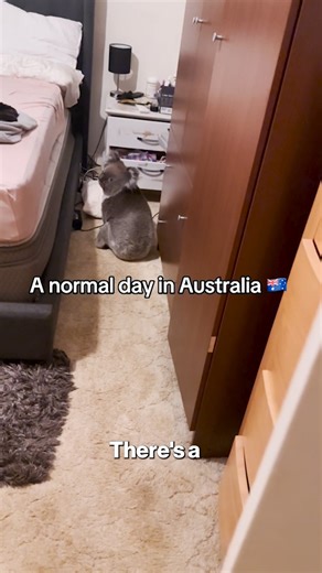 A normal day in Australia. | New York Post Video