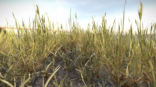 Simple grass chunks - Download Free 3D model by 3dhdscan