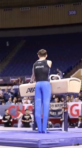 Incredible Pommel Horse Routine by Air Force's Samuel Brown