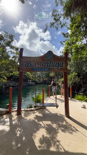 Explora los cenotes de Casa Tortuga en Tulum