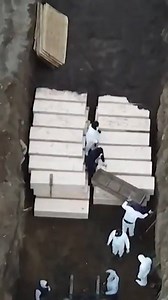 244K views · 4.2K reactions | New York City officials have hired contract labourers to bury the dead in a mass grave on Hart Island as the city’s daily death rate from the coronavirus epidemic continues to rise. | SBS News | Facebook