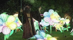 Explore Dublin Zoo like never before at Wild Lights ‘The Enchanted Zoo’ 🧚 You’ll be transported to lands of magic and wonder with magical and mystical creatures all lit up as beautiful silk lanterns! Book your tickets now: https://www.dublinzoo.ie/wildlights/ | Dublin Zoo