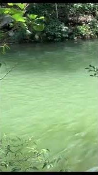 awaken deeper love and confidence subliminal 🧚🏻 #loveyourself