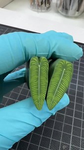 21K views · 2.3K reactions | Anthurium veitchii - the King - cane making process with polymer clay. | Astrid Wilk Studio | Facebook