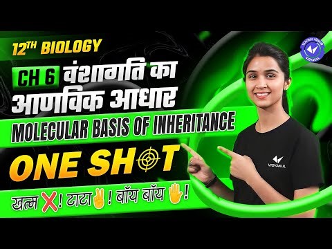 वंशागति का आणविक आधार ONE SHOT | Molecular basis of Inheritance ONE SHOT | Class 12th Biology Ch 6